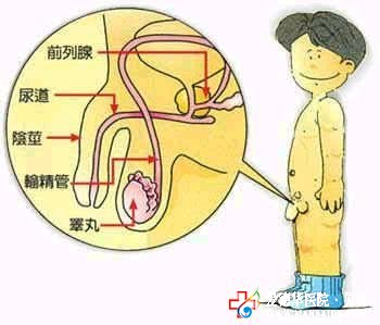 阴茎勃起障碍对男性存在的危害有?