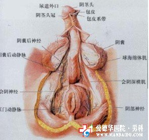 男性出现逆行射精该怎么办