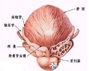 专家分析造成前列腺痛的几大原因