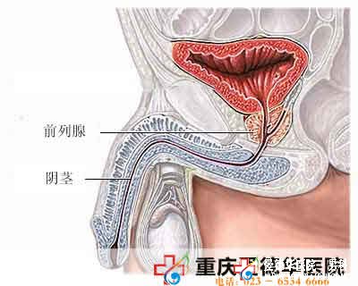 慢性前列腺炎和不良生活习惯有关吗？-九江男科医院